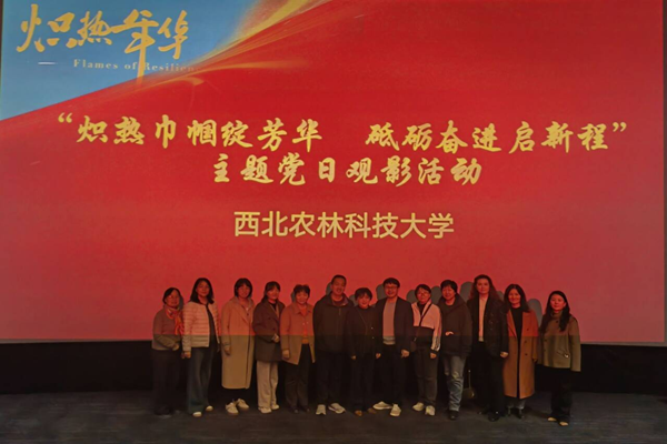 图片3_副本.png
