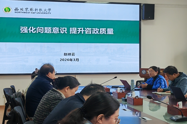 QQ图片20260320193908_副本.jpg