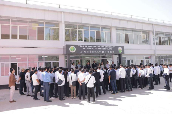 图片1_副本.png